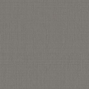 RXD-002 - Light Carpet Grain Luxury Vinyl Flooring (ROCOCO)